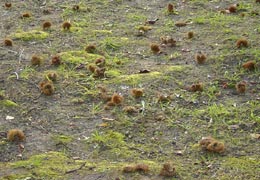 �H�̏��M�����ߕ�10