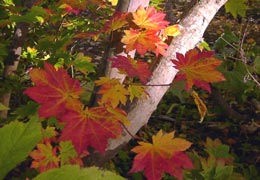 ���M�Ȃ��ڌ���23