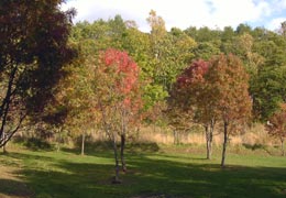 ���M�Ȃ��ڌ���26