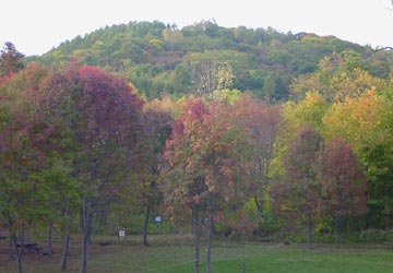 ���M�Ȃ��ڌ���28