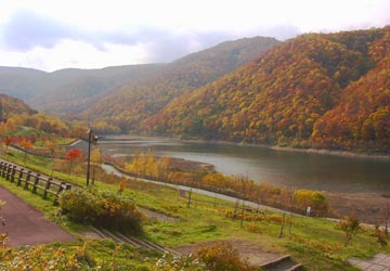 �����_��1