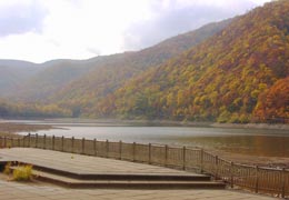 �����_��2