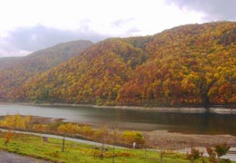 �����_��3