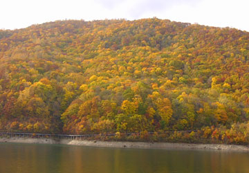 �����_��4