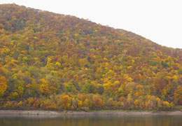 �����_��6