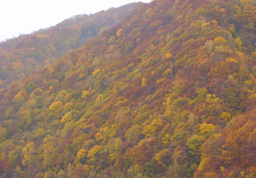 �����_��7