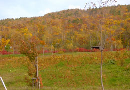 �����_��8