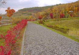 �����_��9