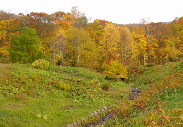 �����_��10