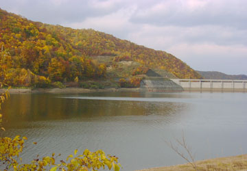 �����_��11