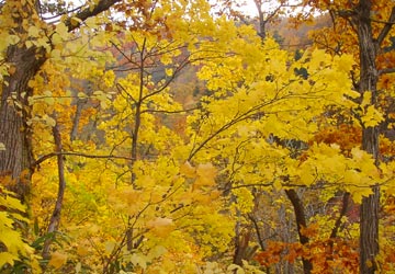 �����_��13