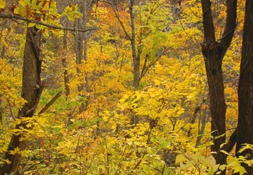 �����_��14