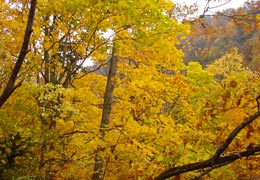 �����_��15