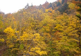 �����_��16