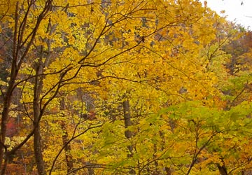 �����_��17