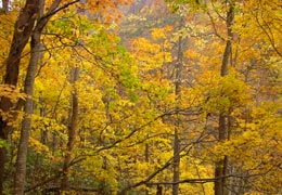 �����_��18