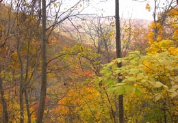 �����_��19