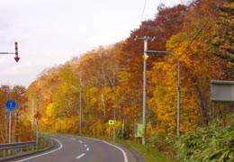 �����_��20