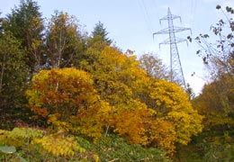 �����_��21