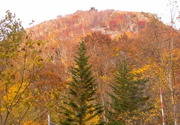 �����_��22�i�V��x�H�j