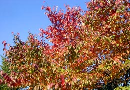 �R�@�E�����}���ٕt��3