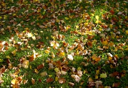 �R�@�E�����}���ٕt��5