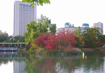 ��������1