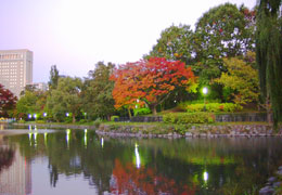 ��������2