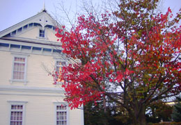 ��������4