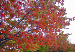 ��������5