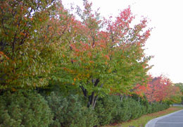 ��������6