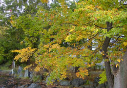 ��������7