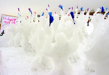 ���Ƃ��ǉ��i�悳���������`�[�t�̂悤�ł��j