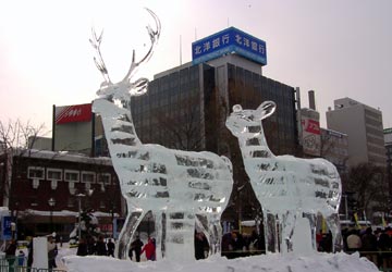 ��ʐ�2���ډ��i���V�X�̍L����j1