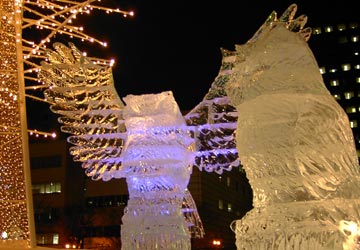 ��ʉ��i���V�X�̍L��̕X���j1