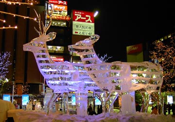 ��ʉ��i���V�X�̍L��̕X���j2