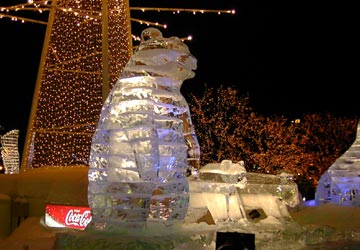 ��ʉ��i���V�X�̍L��̕X���j3