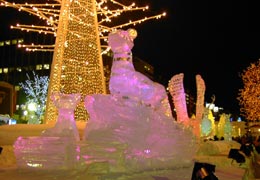 ��ʉ��i���V�X�̍L��̕X���j5