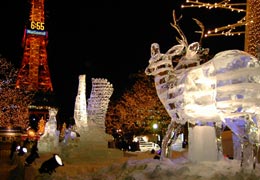 ��ʉ��i���V�X�̍L��̕X���j6