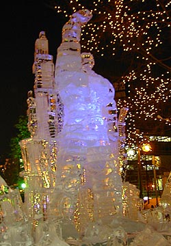 ��ʉ��i�k�l�̌��̃P���V���E�j1