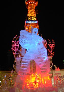 ��ʉ��i�k�l�̌��̃��I�E�j1