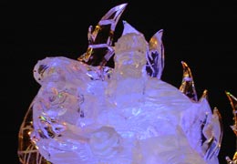 ��ʉ��i�k�l�̌��̃��I�E�j2