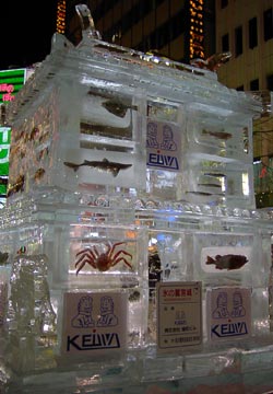 �������̉��i���Ȃ��݂̊C�̍K����j1