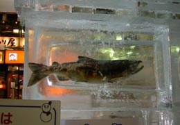 �������̉��i���Ȃ��݂̊C�̍K����j2