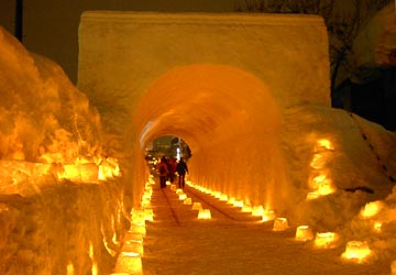 ��{�����01