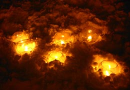 ��{�����11