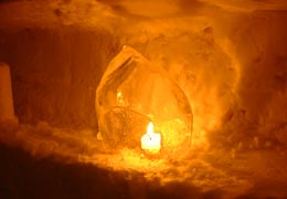 ��{�����20