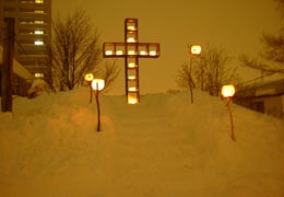 ��{�����21