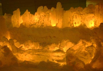 ��{�����24