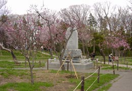 �~�R�����̍�1